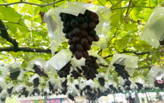 オリエンタルスター